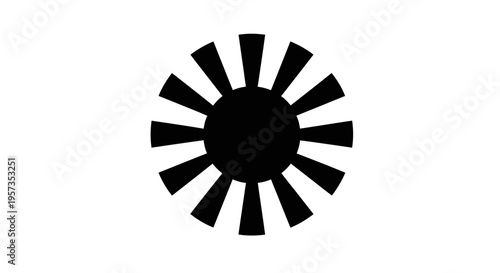 Black abstract sunburst graphic on white background, radial pattern, minimalist design