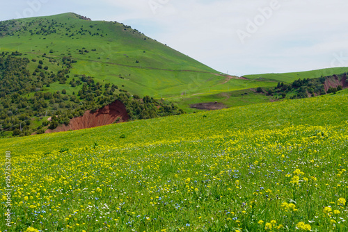 Green Rolling Hills And Wildflower Meadow Spread Across Sunlit Valley With Patches Of Yellow Blooms, Distant