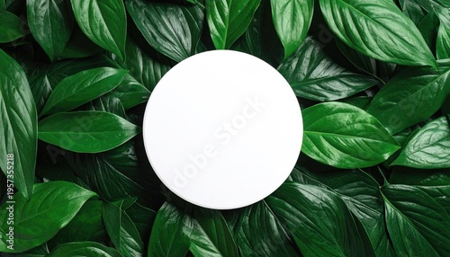Glossy leaves backdrop w/ centered, blank, white circle