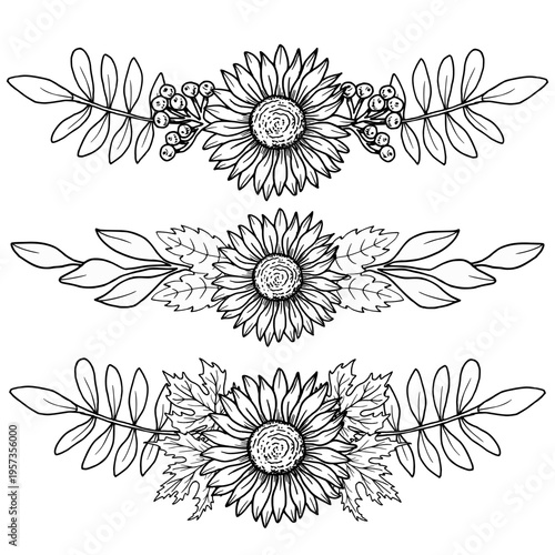 Set of sunflower frames with maple leaves and rowan berries. Botanical vector art. Black graphic illustration, hand drawn using line art. Suitable for frames, packaging and seasonal projects