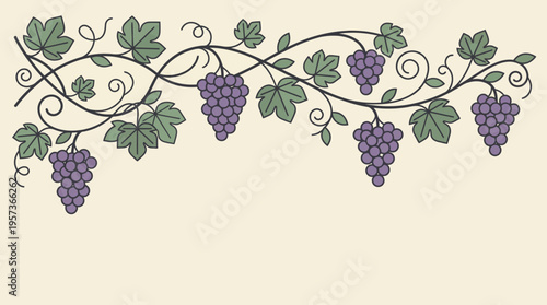 Decorative grapevine border with purple grape clusters and lush leaves on a cream background