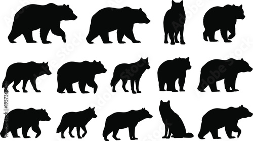 Bear wolf silhouette wild animal forest nature predator set