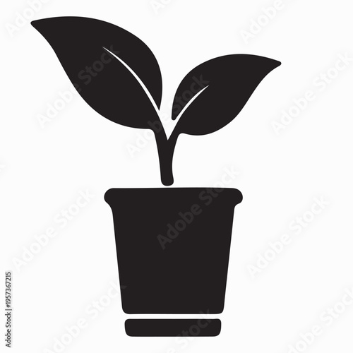 A vibrant green plant with lush leaves grows in a ceramic flowerpot, illustrating a new spring sprout and the beauty of nature isolated for gardening and botany art