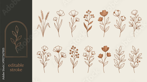 Set of hand-drawn botanical line art flowers in warm brown tones, vintage-inspired floral illustration collection