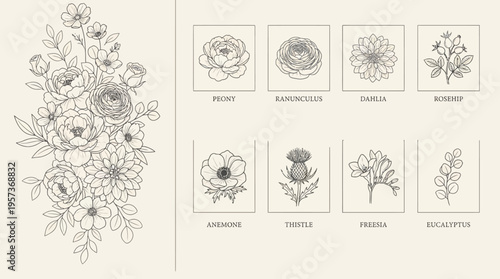 Detailed botanical illustration of a flowering bouquet with a vintage grid of labeled flower sketches, monochrome ink drawings on beige background