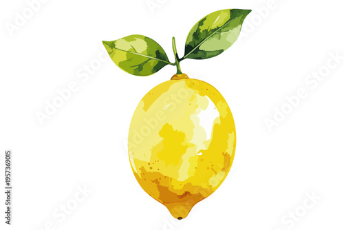 葉っぱがついたフルーツのレモン　水彩画風