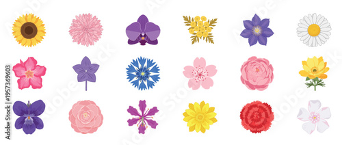Colorful floral flowers icon set featuring dahlia orchid lotus poppy and botanical blossoms decorative outline line editable stroke spring garden