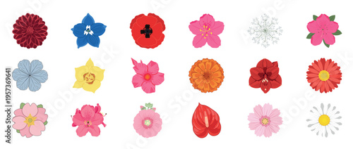 Colorful floral flowers icon set featuring dahlia orchid lotus poppy and botanical blossoms decorative outline line editable stroke spring garden