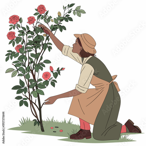 Woman kneeling by roses gardening flowers