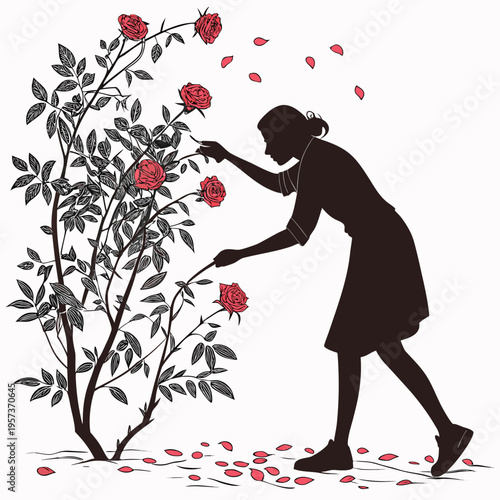 Silhouette of woman with roses gardening flowers