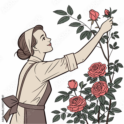 Woman tending to roses gardening flowers apron