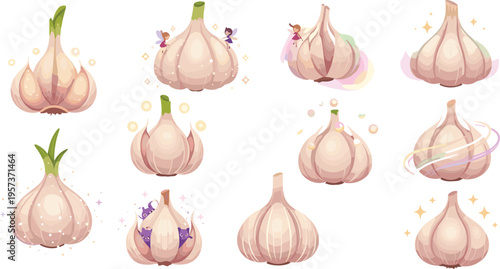 Garlic Collection Set with Fresh Bulbs Organic Vegetable Food Ingredient and Cooking Elements Detailed Cartoon Vector Illustrations for Kitchen Design and Nutrition Concepts