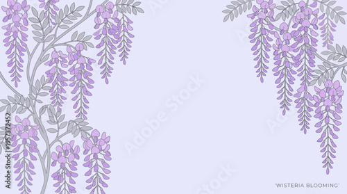Elegant cascading wisteria blossoms on a soft lavender background, ideal for floral decor, spring themes, and romantic design.