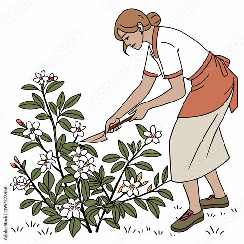 Woman pruning white flowers with garden shears gardening