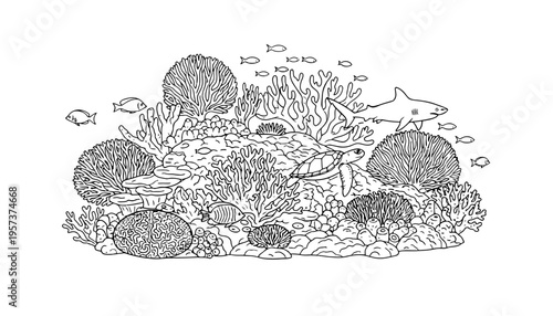 Ocean underwater scene with coral reef and sea creatures illustration