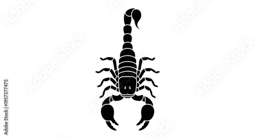Black dangerous scorpion insect vector illustration on isolated white background.