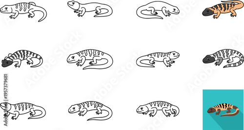 Tiger salamander vector icon set with outline, sketch and colored amphibian poses, wildlife reptile collection isolated on white background.