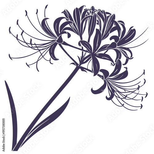 sparkler blush spider silhouette  vector flower