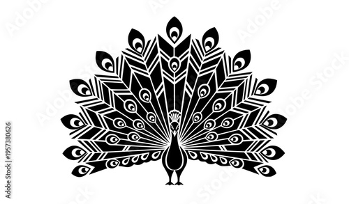 Stylized peacock vector black and white illustration decorative feather pattern isolated on white background