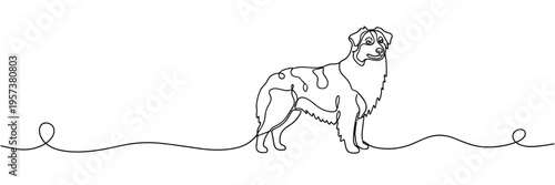 Sheepdog standing calmly in continuous line on white background, none editable strokes