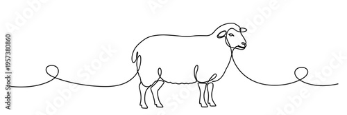 Sheep standing on continuous line minimal background, none editable strokes