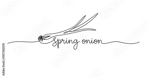 Minimalist line drawing of spring onion with cursive text. No editable strokes