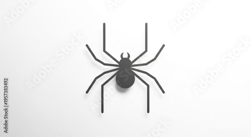 spider on white background