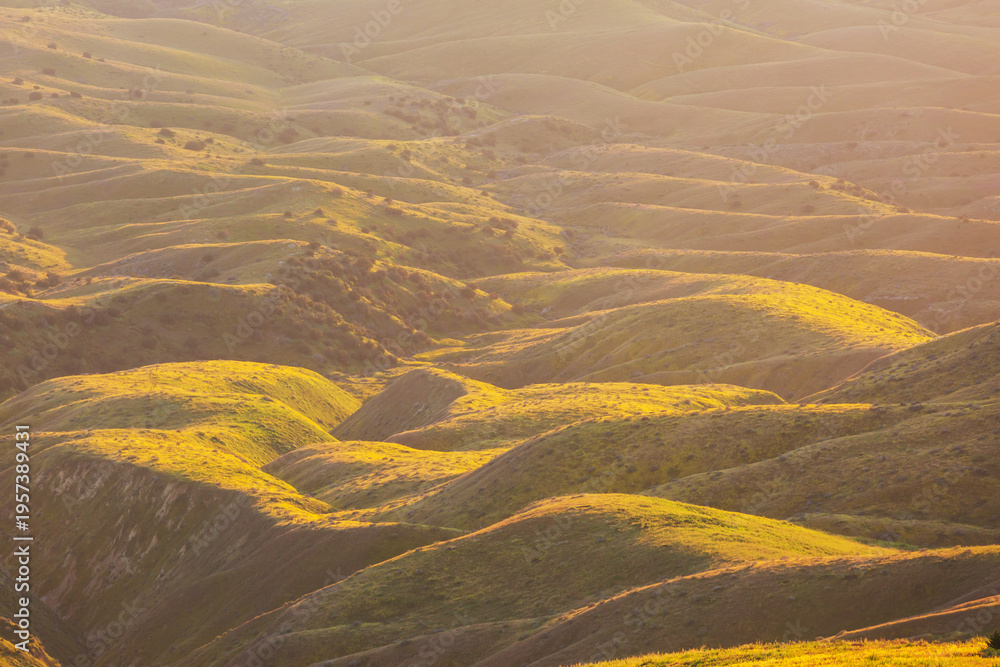 Naklejka premium Green hills