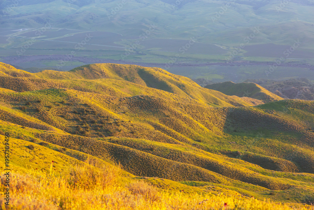 Fototapeta premium Green hills