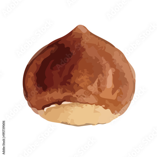 Watercolor-style fresh chestnut illustration, ripe nuts with burrs, autumn harvest food／水彩　栗
