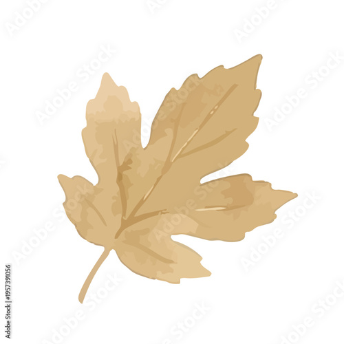 Watercolor-style fresh chestnut illustration, ripe nuts with burrs, autumn harvest food／水彩　栗