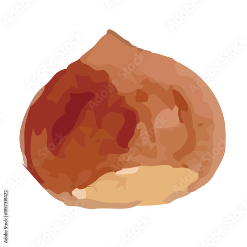 Watercolor-style fresh chestnut illustration, ripe nuts with burrs, autumn harvest food／水彩　栗
