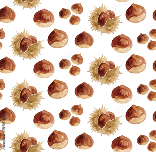 Watercolor-style fresh chestnut illustration, ripe nuts with burrs, autumn harvest food／水彩　栗