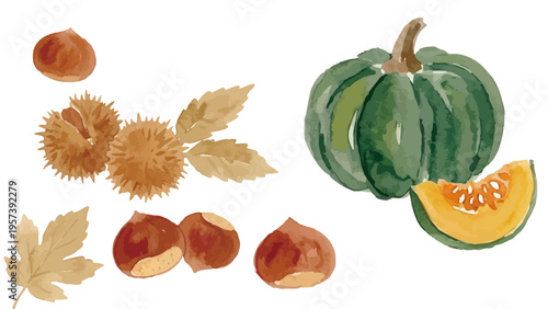 Watercolor-style autumn harvest set, chestnut and pumpkin illustration, ripe nuts and gourd／水彩　栗　かぼちゃ