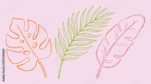 Simple line-art leaves in orange, green, and pink colors. Modern minimalist botanical background for blog content. Tropical nature illustration isolated on a soft pastel background.