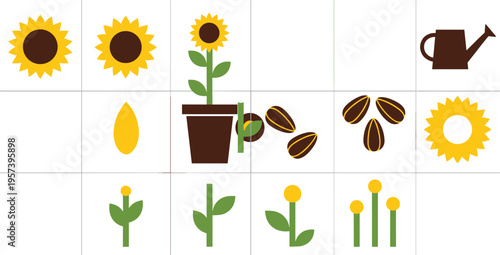 Sunflower Life Cycle Growth Stages Icon Set with Seeds, Sprout, Plant, Flower, Pot, Watering Can and Sunflower Parts for Gardening, Botany Education, Nature and Kids Learning Designs