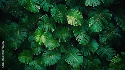Lush green plants cover the surface