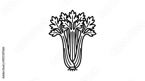 Celery Stalk with Leaves Outline