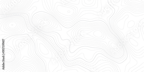 The stylized height of the topographic contour in lines and contours.Geographic line map with elevation assignments. Contour background geographic grid. Vector illustration.
