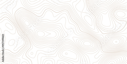 The stylized height of the topographic contour in lines and contours.Geographic line map with elevation assignments. Contour background geographic grid. Vector illustration.
