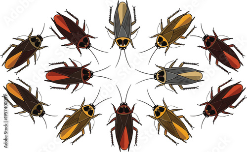 Cockroach insects set with different species variations, realistic pest collection arranged in circular composition vector illustration