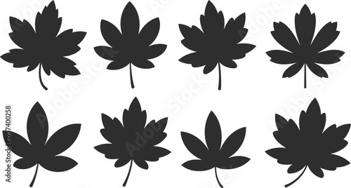 Set of black maple leaf silhouettes isolated on white background autumn foliage collection for nature design fall season vector elements