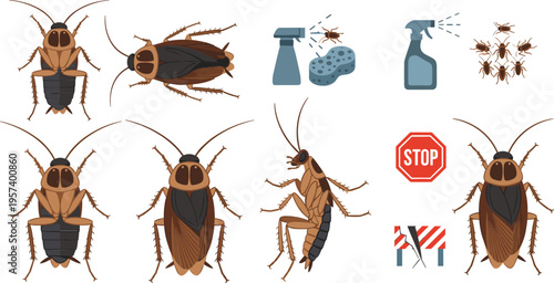 Cockroach pest control set with insects and cleaning tools, household infestation prevention concept vector illustration design