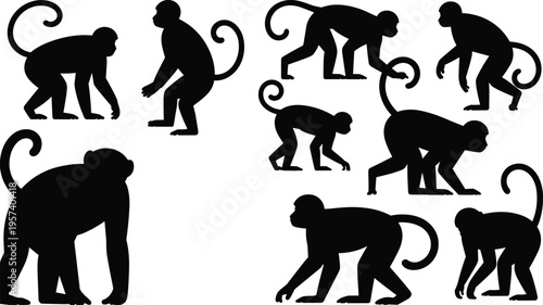 Set of monkey silhouettes isolated on white background wild animal collection for zoo design primate vector elements in various poses