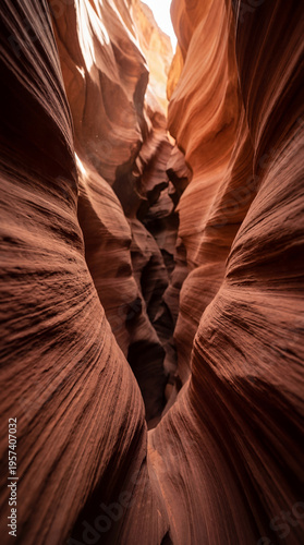Sunlight dances across the ...