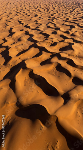 Endless textured dunes crea...