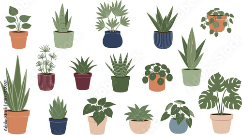 Indoor Plant Collection Featuring Potted Aloe, Succulent, and Monstera Plants for Home Decor, Gardening, and Nature Design