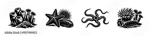 Black and white marine life silhouette vector illustrations featuring starfish coral and sea creatures