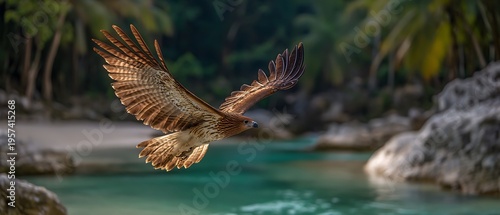 Wallpaper Mural Majestic Eagle in Flight Over Tropical Lagoon with Lush Greenery and Clear Water Background Near Sandy Shoreline Torontodigital.ca