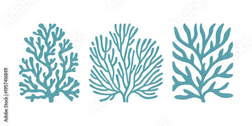 A collection of three distinct blue coral illustrations isolated on a clean white background